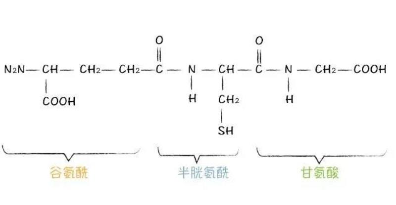 微信圖片_20210313171118.jpg